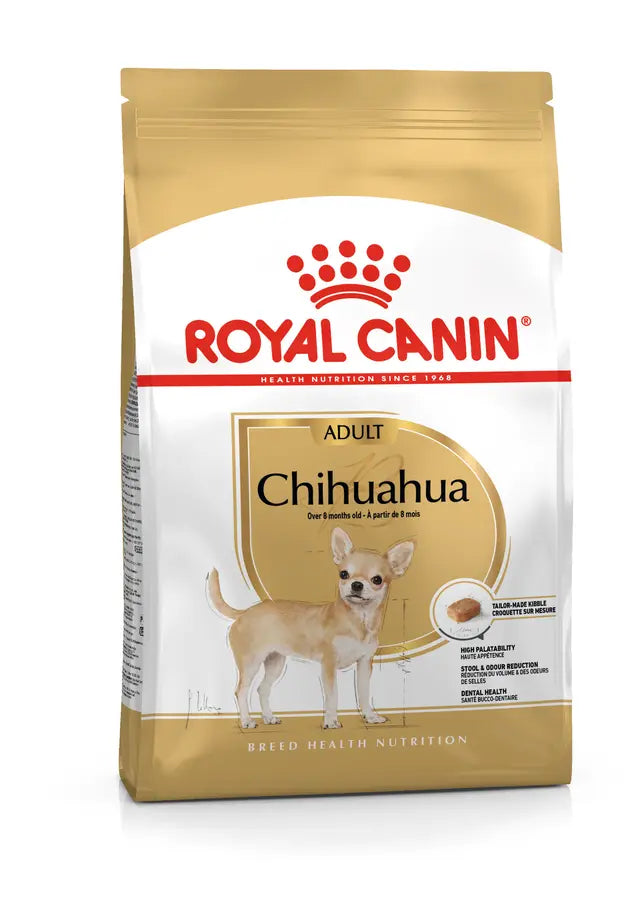 ROYAL CHIHUAHUA ADULTO