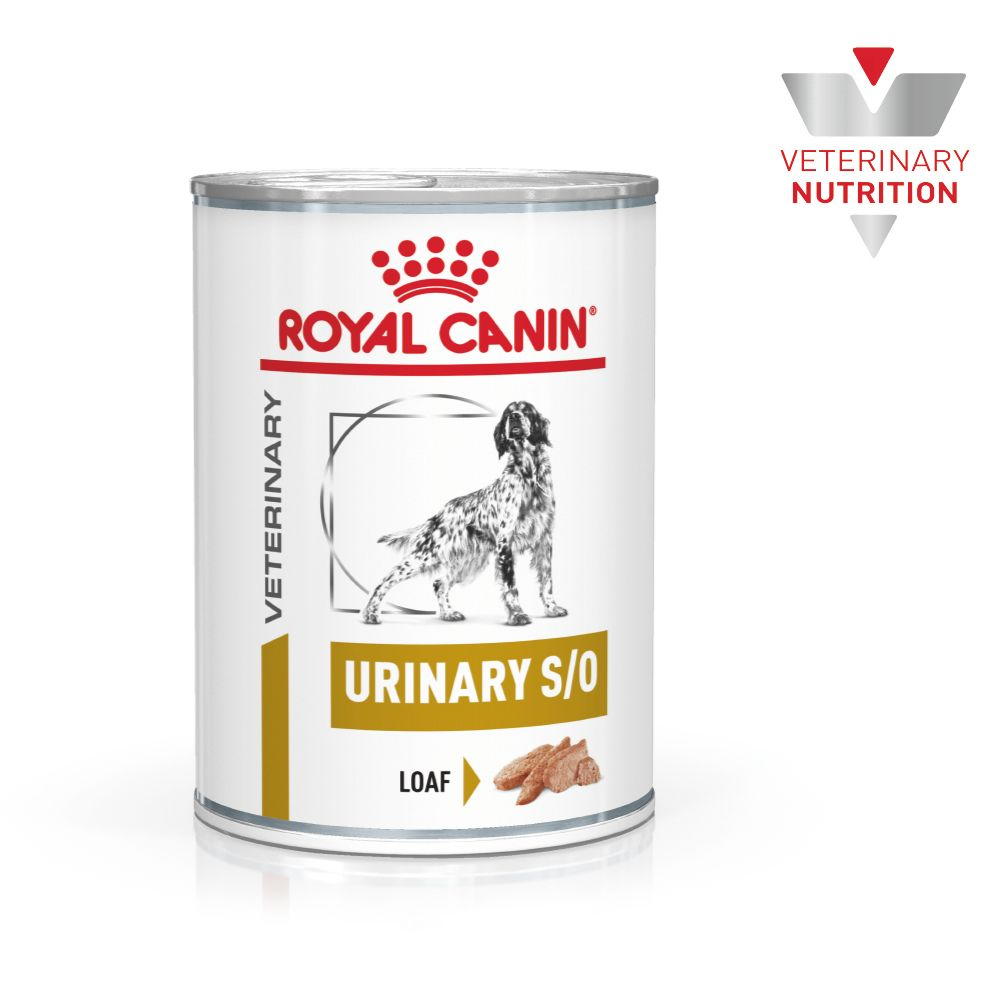 ROYAL URINARY CALORIAS MODERADAS