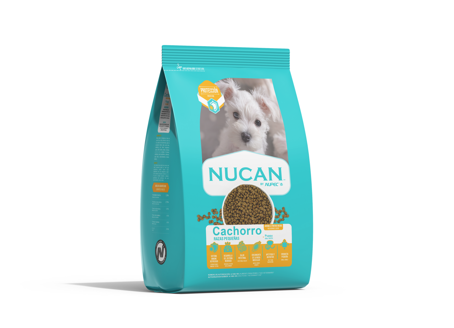 NUCAN PUPY RAZA PEQUEÑA