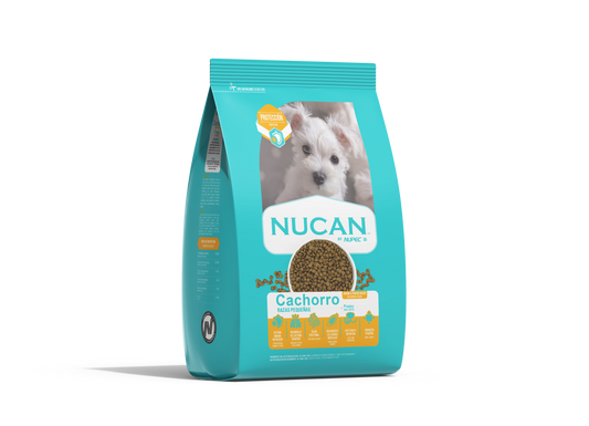 NUCAN PUPY RAZA PEQUEÑA