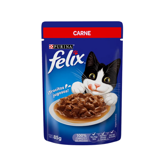 FELIX DE CARNE
