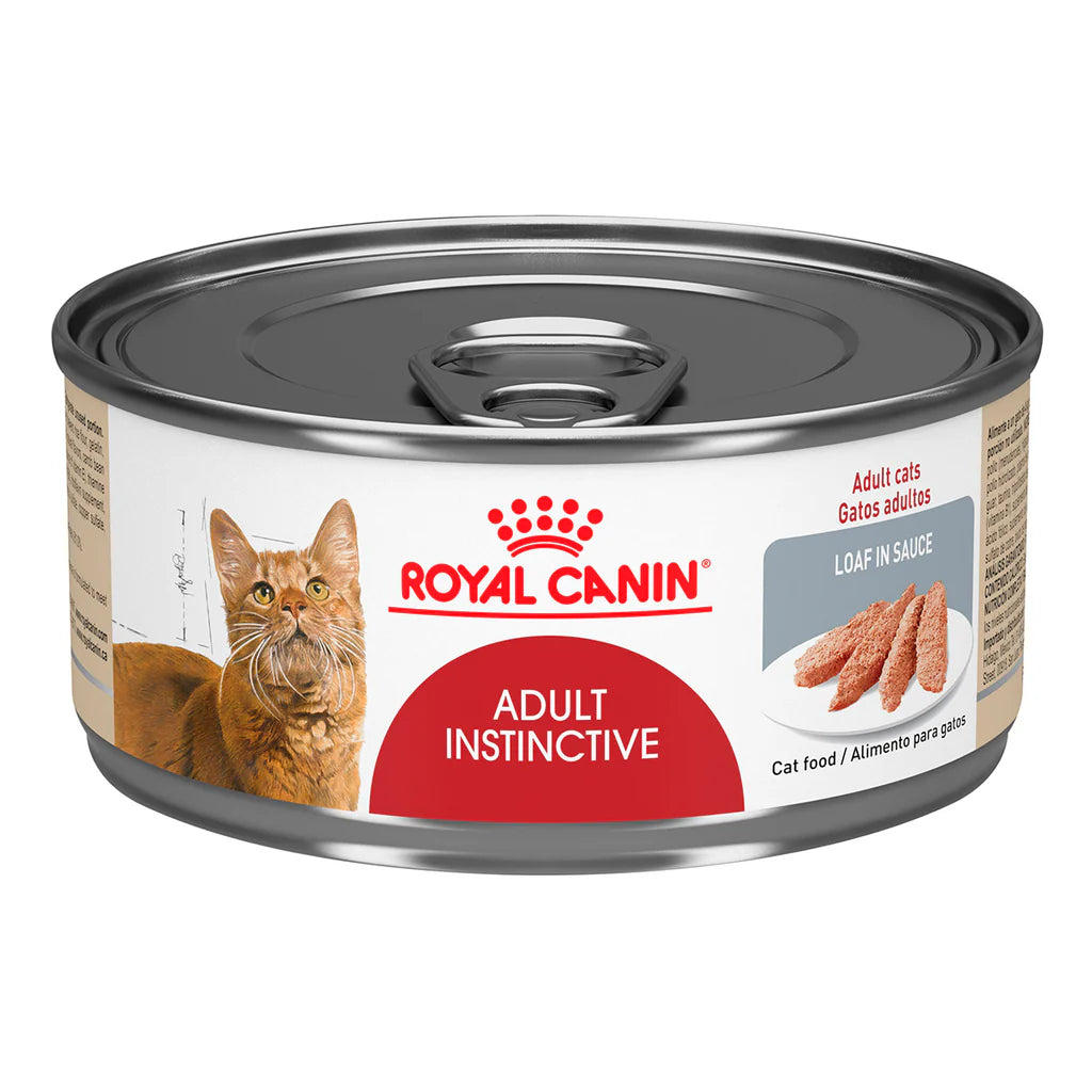 ROYAL CANIN RECETA CLASICA ADULTO