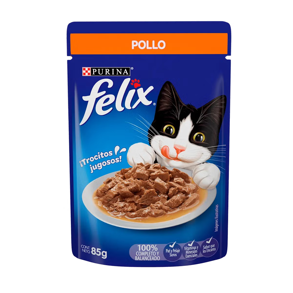 FELIX POLLO