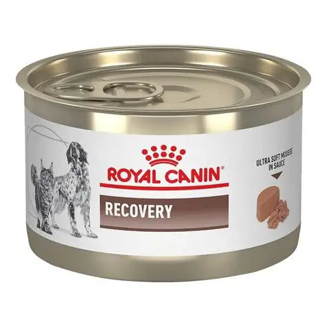 ROYAL CANIN  RECOVERI