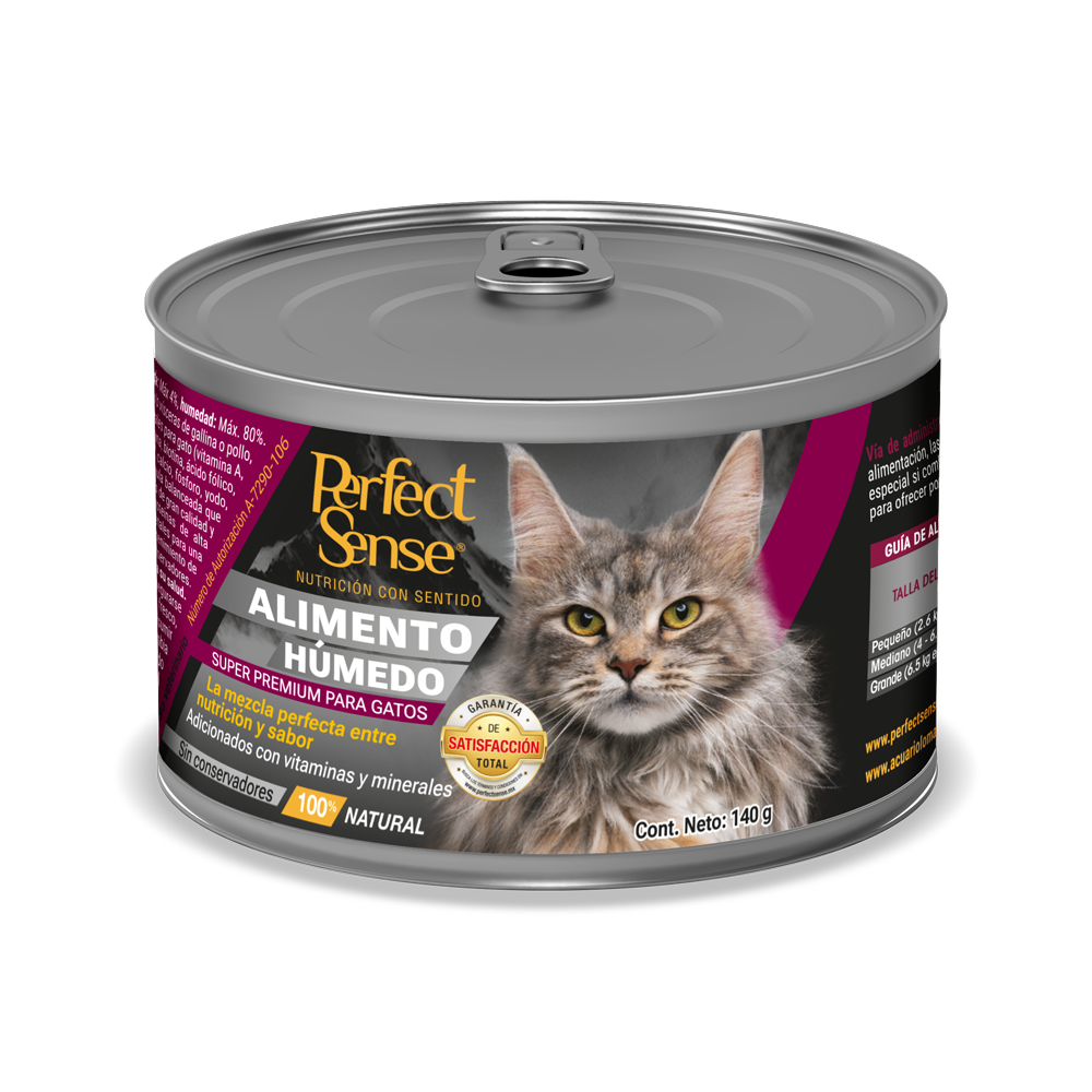 PERFECT SENSE INDOOR ADULTO.