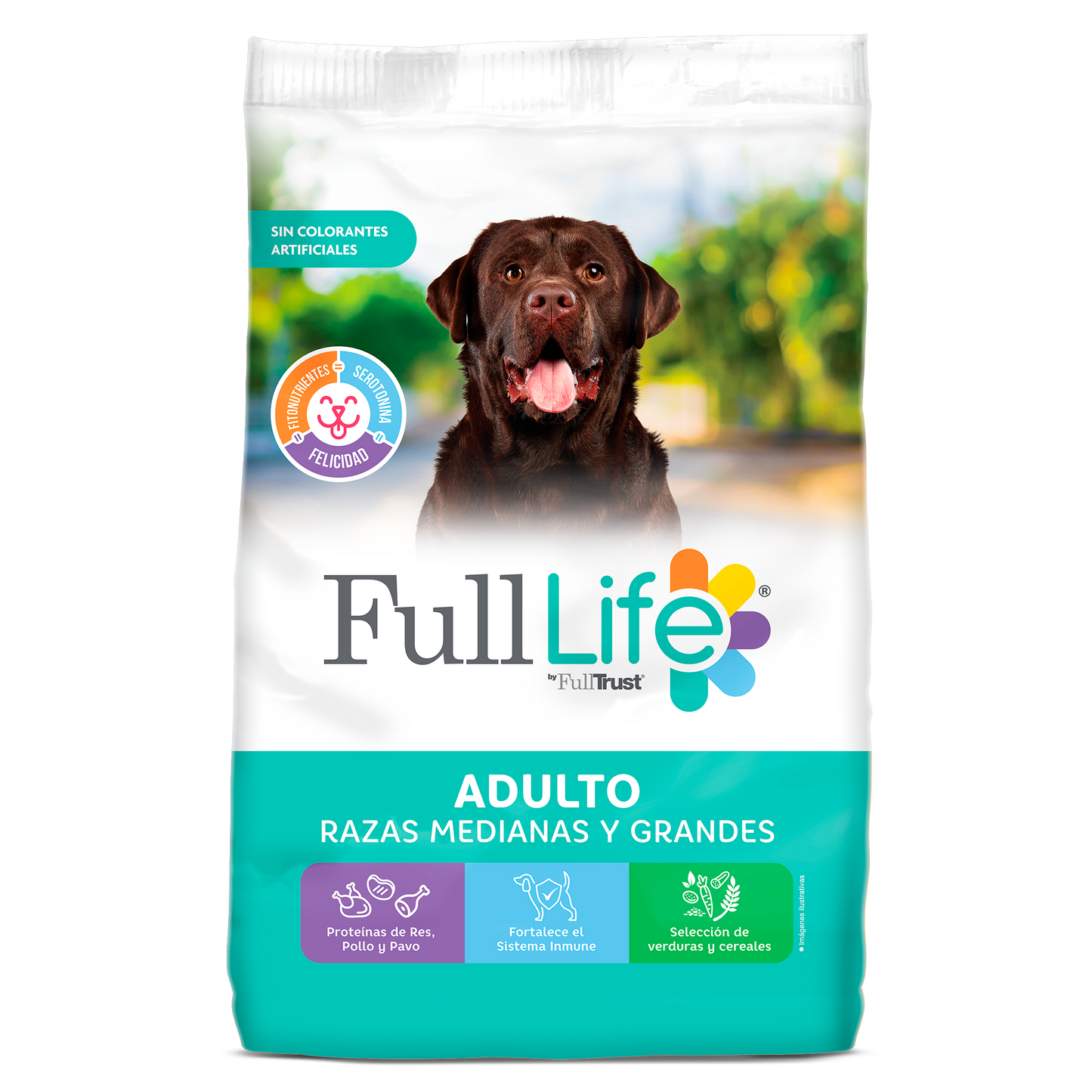 FULL LIFE ADULTO RAZA GRANDE