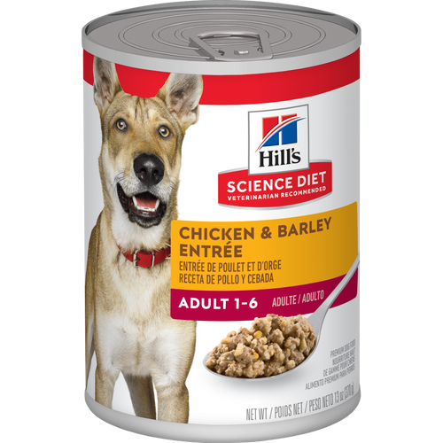 HILLS ADULTO (ad) 1-6 AÑOS