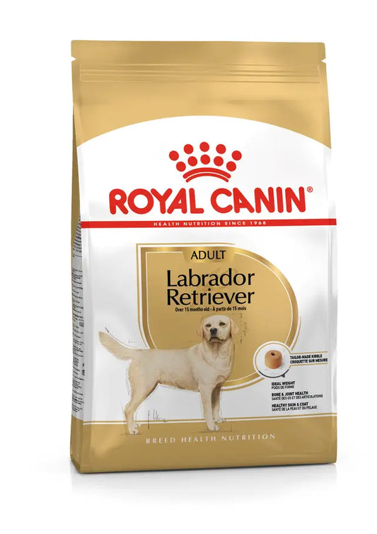 ROYAL CANIN LABRADOR RETRIVER ADULTO