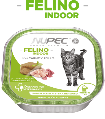 NUPEC GATO INDOOR