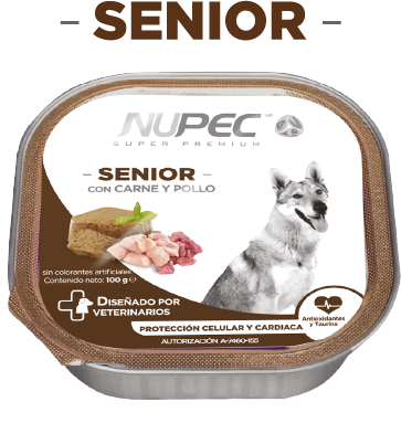 NUPEC SENIOR