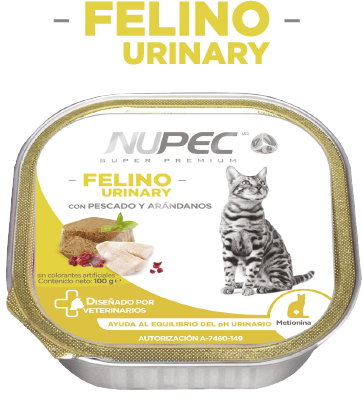 NUPEC GATO URINARI