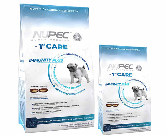 NUPEC STARTER