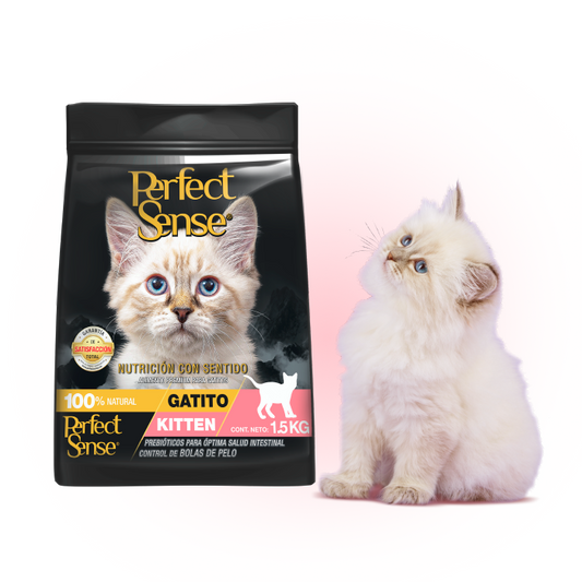 PERFECT SENSE, KITTE.