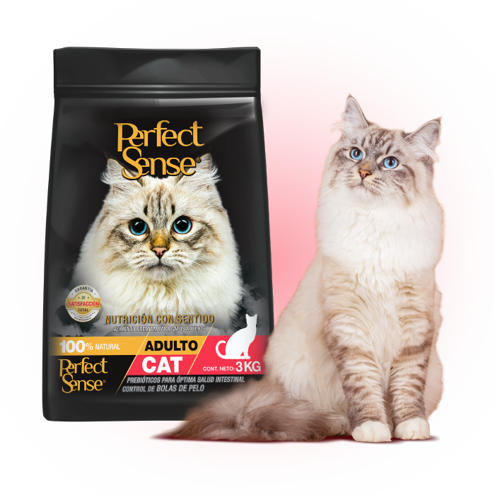 PERFECT SENSE, INDOOR ADULTO.