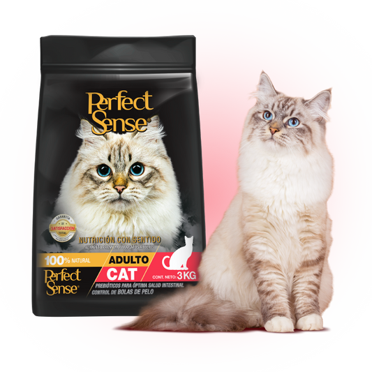 PERFECT SENSE, INDOOR ADULTO.