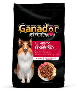 GANADOR PREMIUM ADULTO RAZA GRANDE