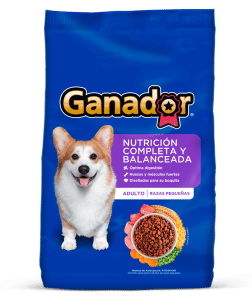 GANADOR CLASICO RAZA PEQUEÑA