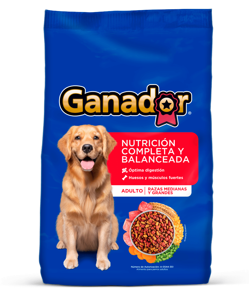 GANADOR CLASICO RAZA GRANDE