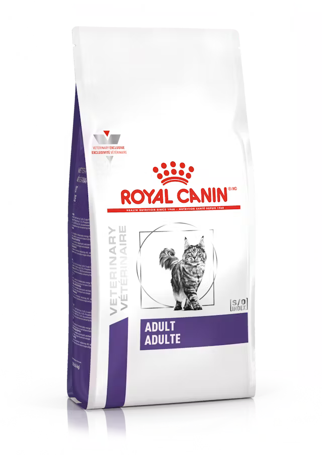 ROYAL GATO ADULTO INDOOR
