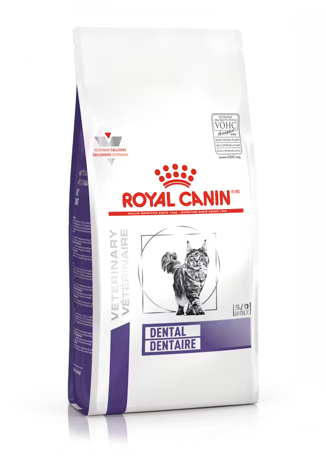 ROYAL CANIN, DENTAL DRY FELINE,( ADULTOS PROPENSOS A ACOMULIAR FORMACIONES DE SARRO)