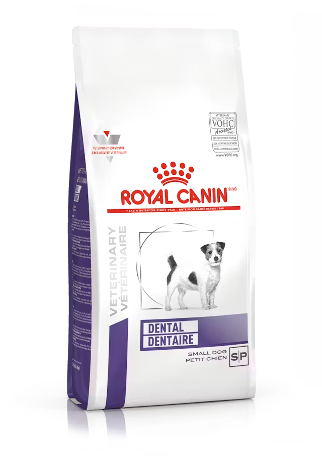 ROYAL CANIN DENTAL SMALL DOG DRY, ( ADULTOS PROPENSOS A FORMACION DE CAPAS DE SARRRO)