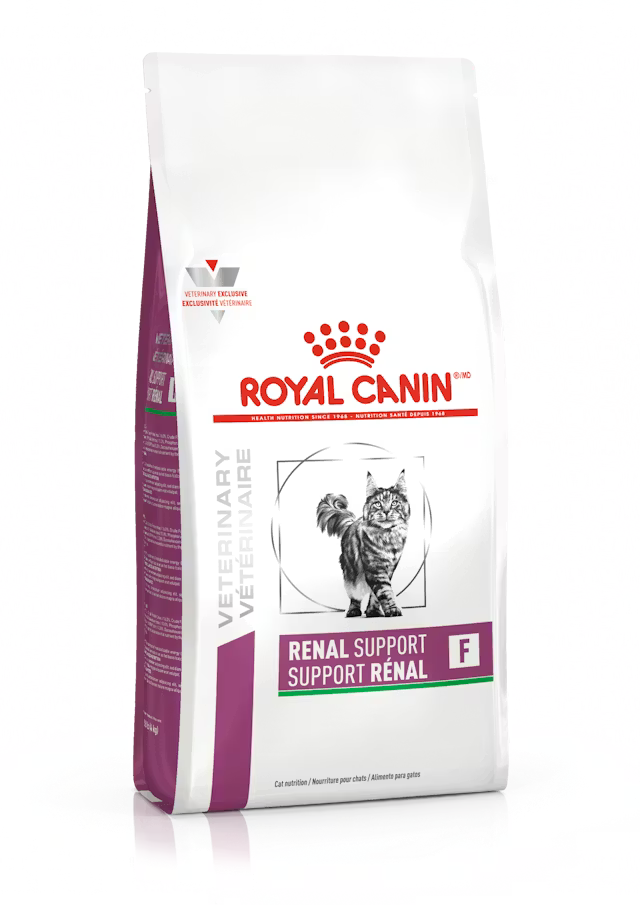 ROYAL CANIN RENAL  SUPPORT F FELINO,